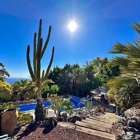 Tropical Garden Willa *