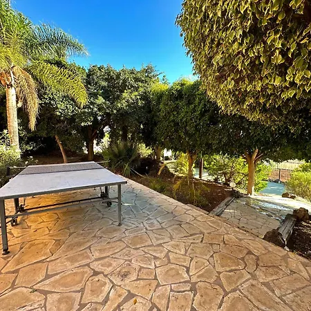 Tropical Garden